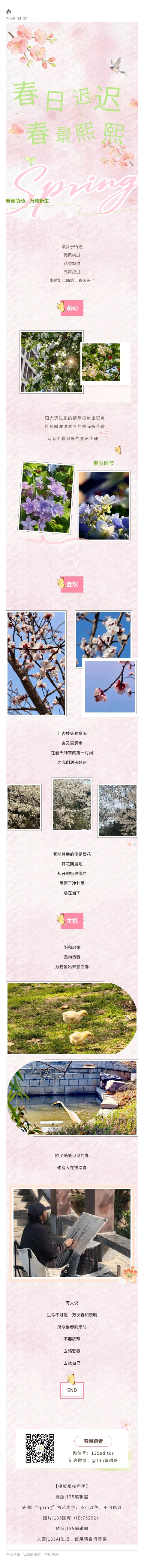 活动作品
