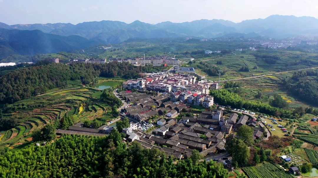 40年40村乌石村一方乌石铺就共富路