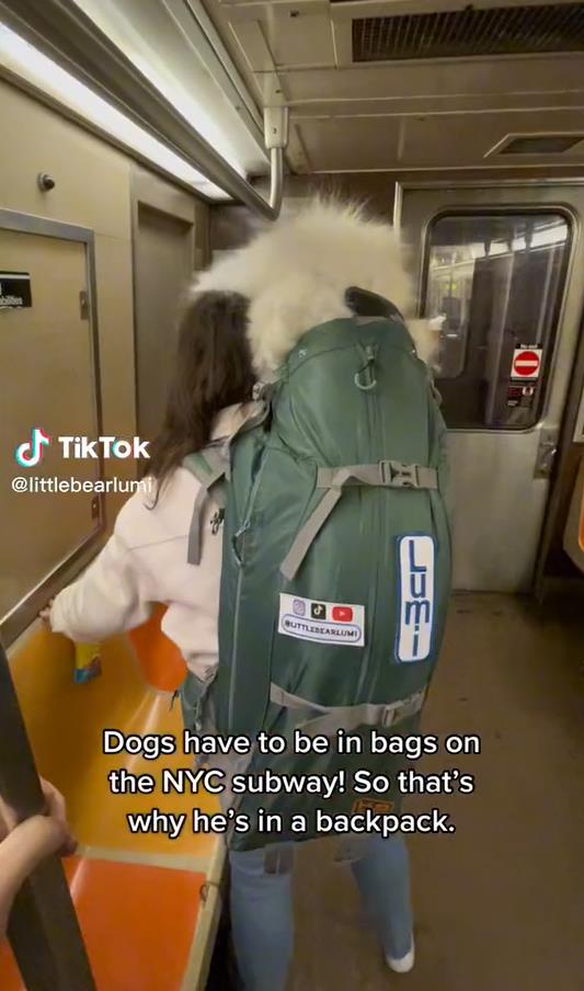 微信截图_20230331182718.jpg