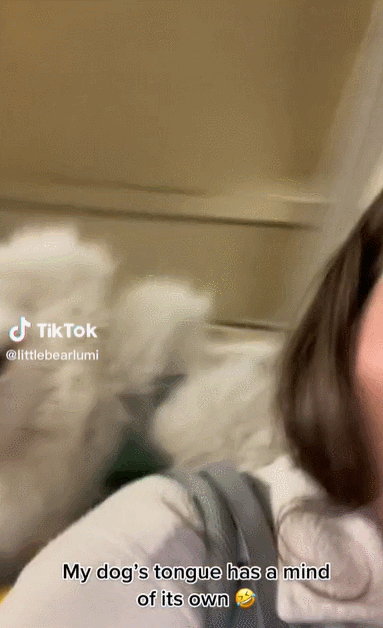 3.gif