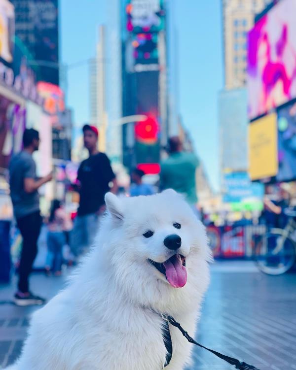 微信截图_20230331175214.jpg