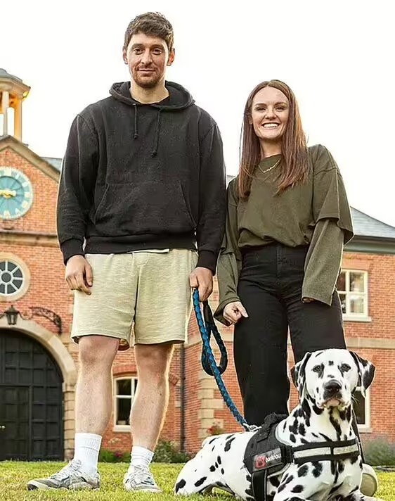 dog-4676271.avif.jpg