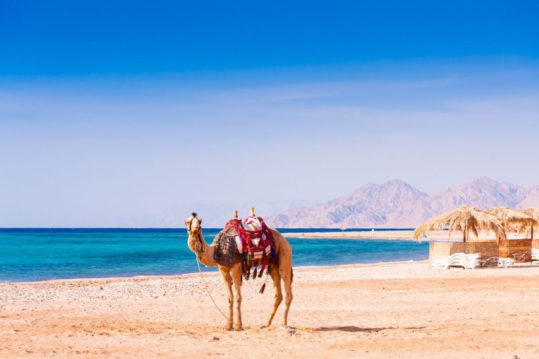 fun-things-to-do-in-Hurghada-Egy.jpg