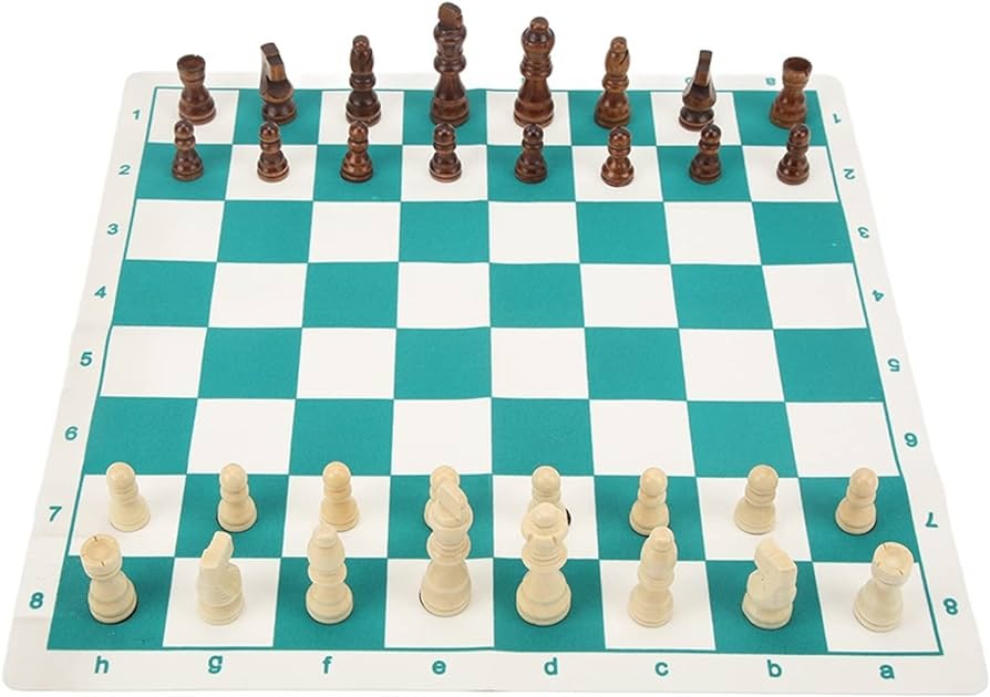 61eFTVXI5kL._AC_UF894,1000_QL80.jpg