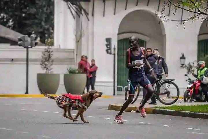 382841543_6632109510235741_64585.jpg