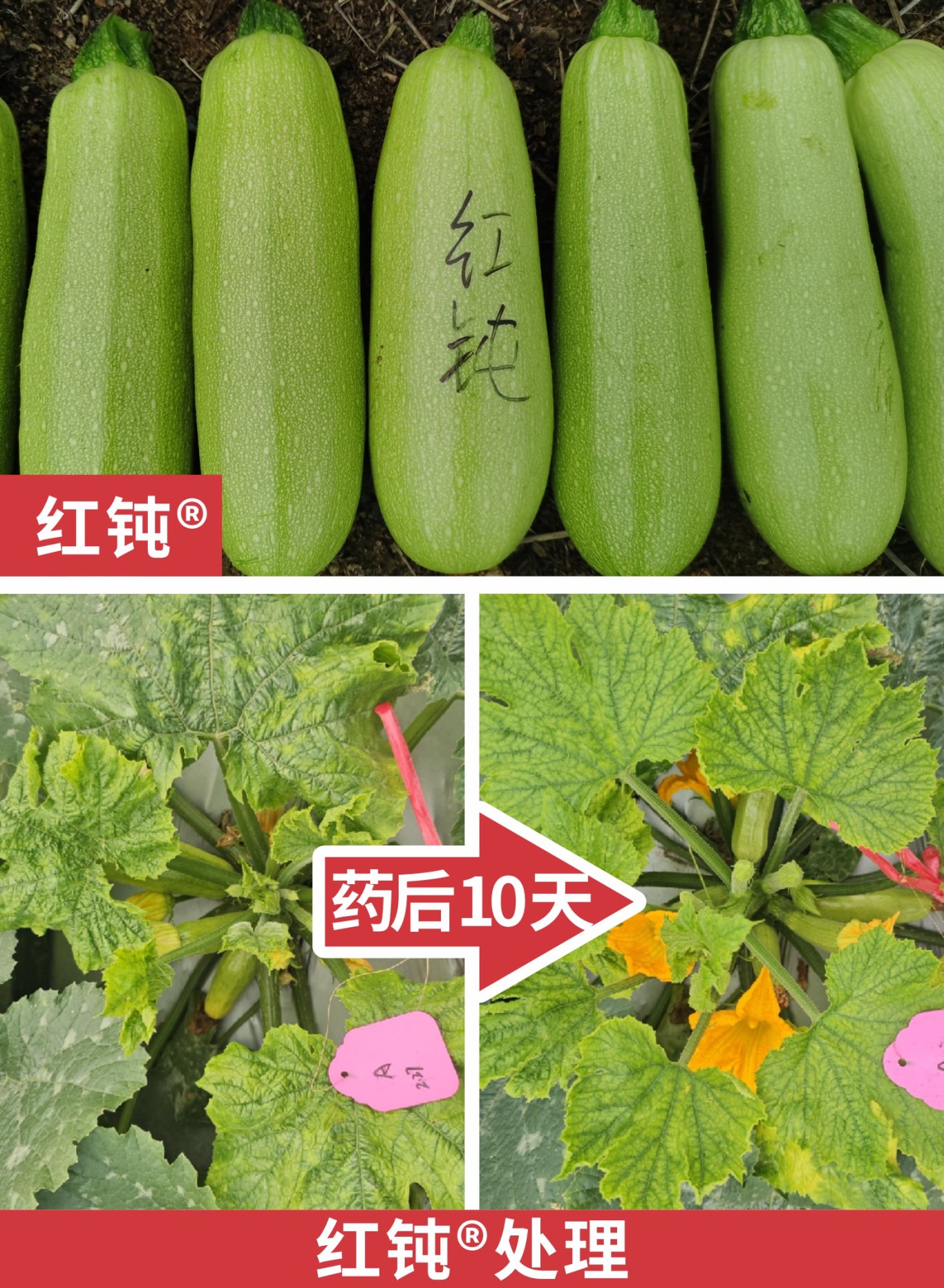 微信圖片_20250519161451.jpg