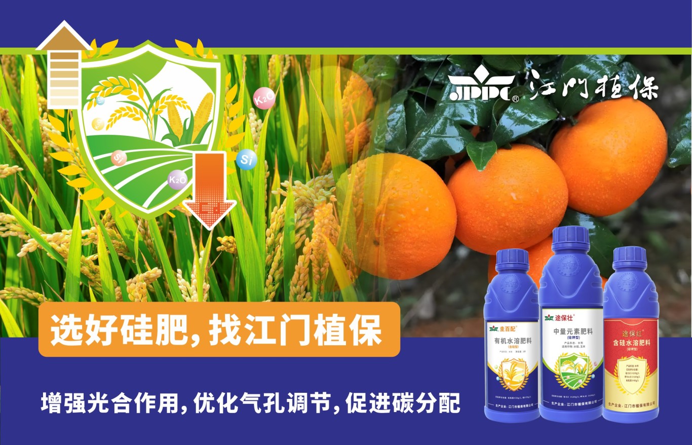 微信圖片_2025-06-25_153416_807.jpg