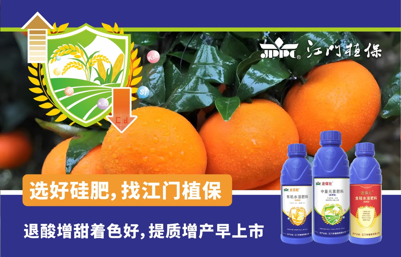 微信圖片_2025-06-30_152142_851.jpg