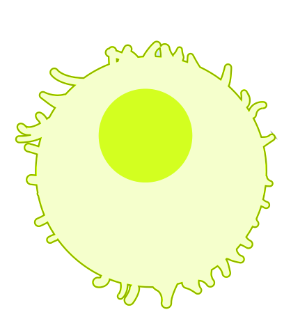 Immune_Cell_(NIH_BioArt_252_-_631168).svg.png