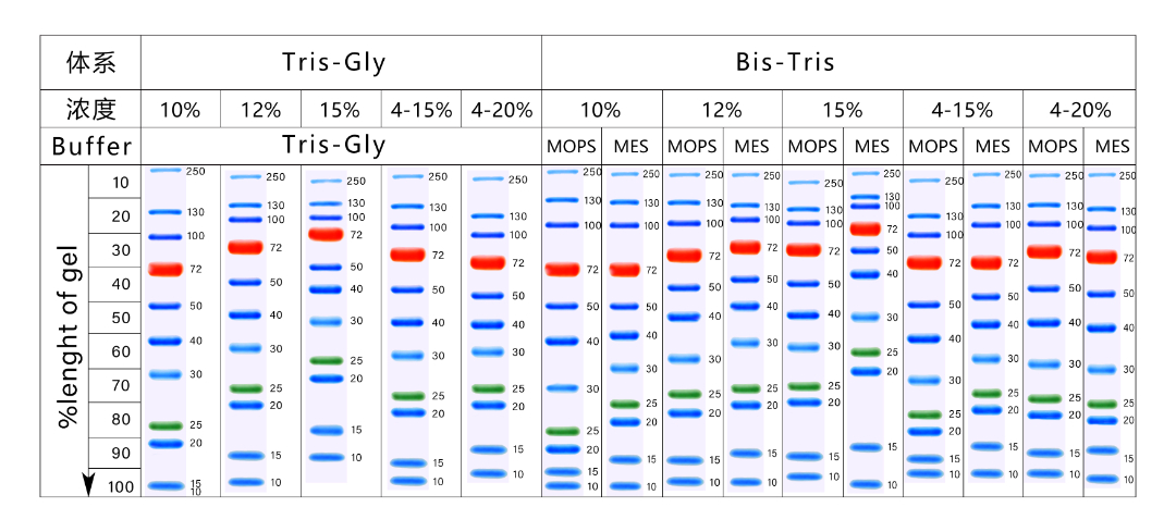 marker 不同体系对比.jpg