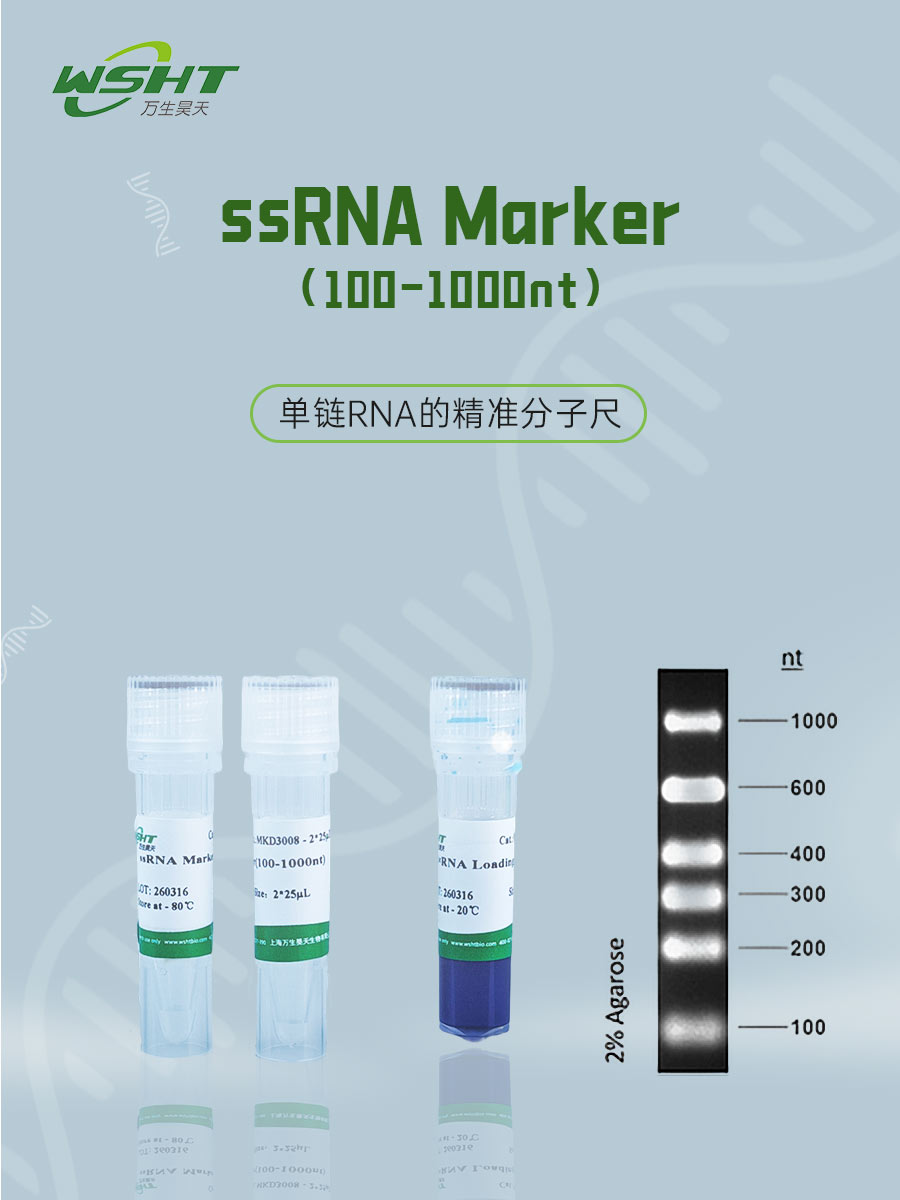 ssRNA Marker.jpg