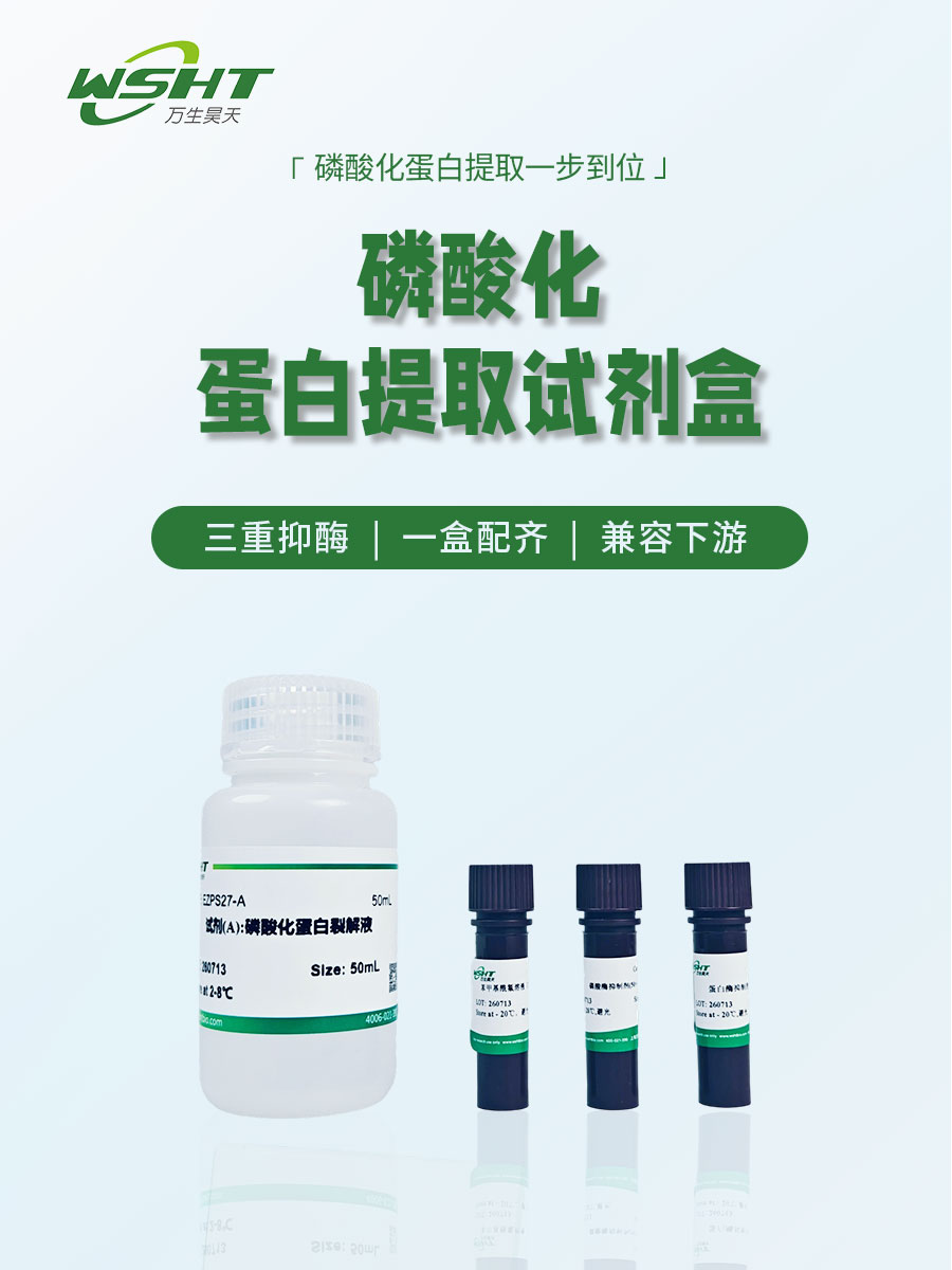磷酸化蛋白提取试剂盒主图.jpg