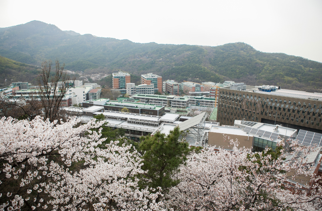 봄 캠퍼스_2.jpg