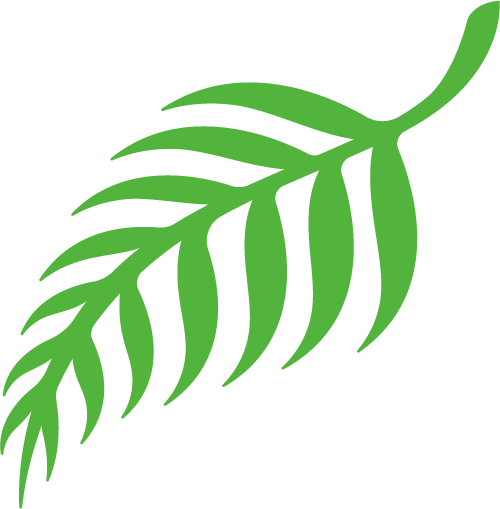 微信图片_20251015133656_11_44.png