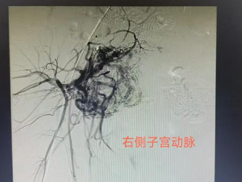 图片9.png