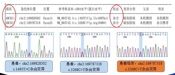 609bd099c9285ee6fd6009b22385f47.png