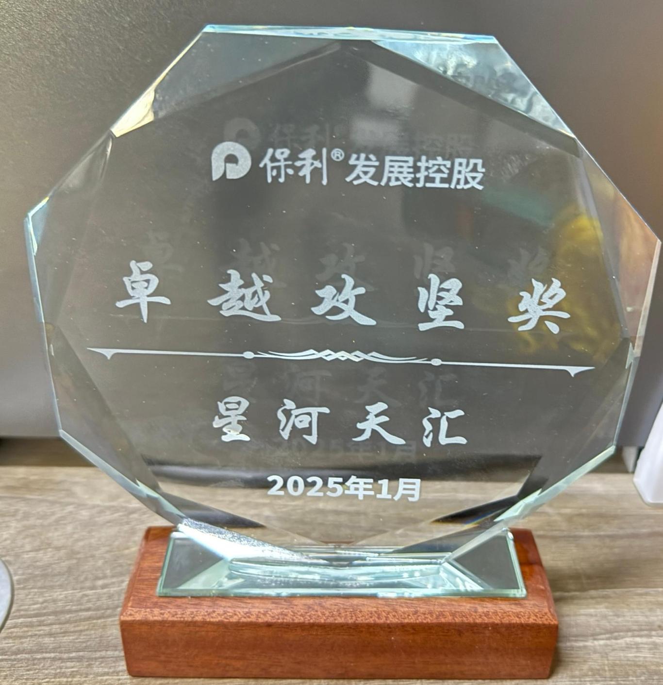 星河天汇项目卓越攻坚奖.jpg