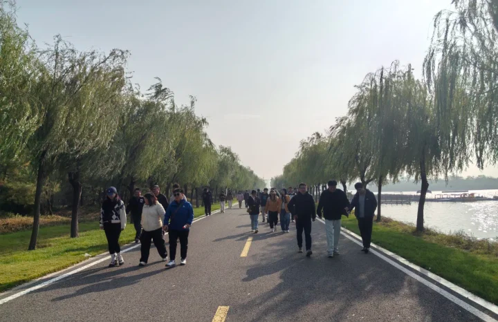 哲远科技 哲远科技