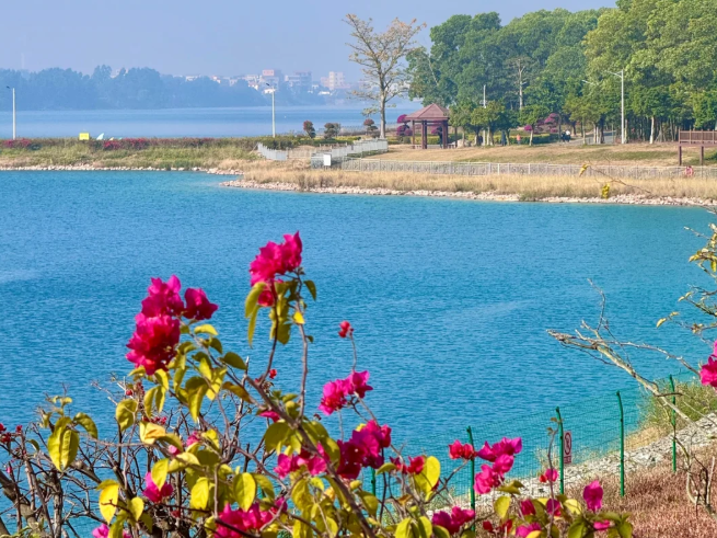 1764922331616650.png image.png