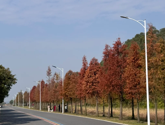 1764922581587581.png image.png