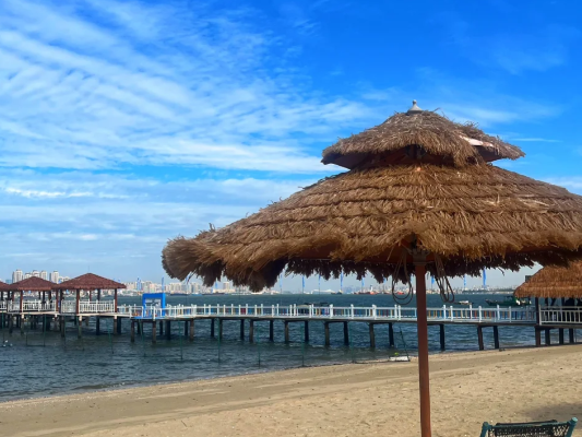 1765269526216976.png image.png