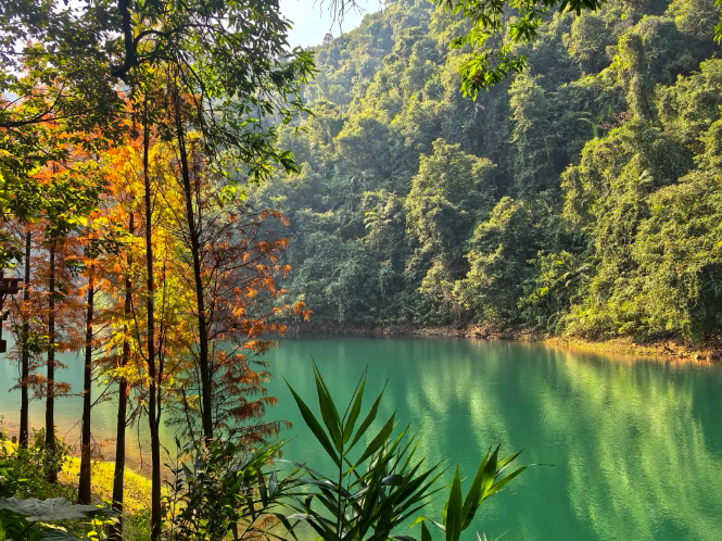 1765338166197692.png image.png