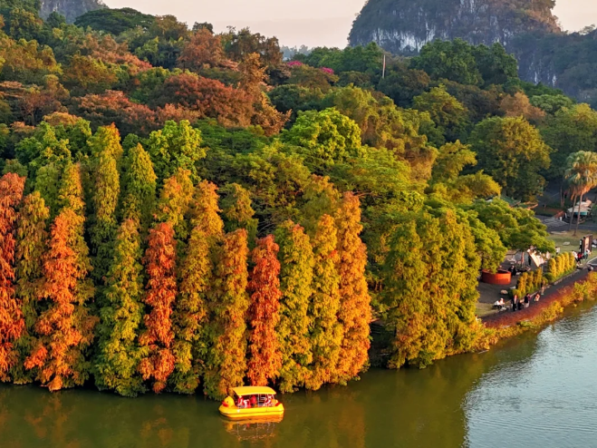 1765338562576581.png image.png