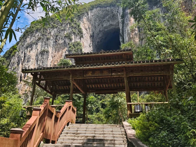 1765442006342037.png image.png