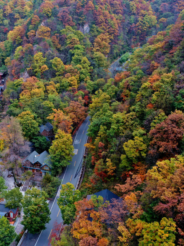 DJI_0881_副本_副本.jpg