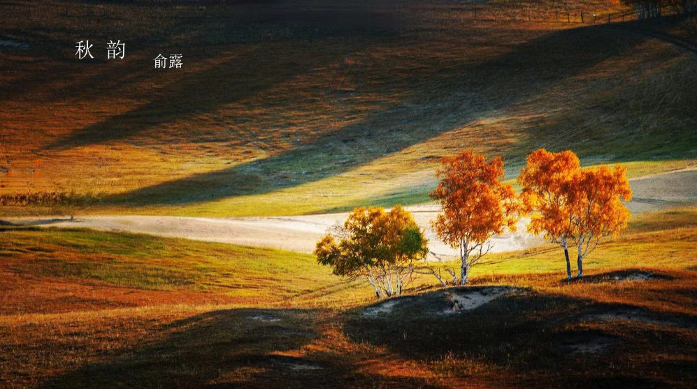 秋韵俞露.jpg