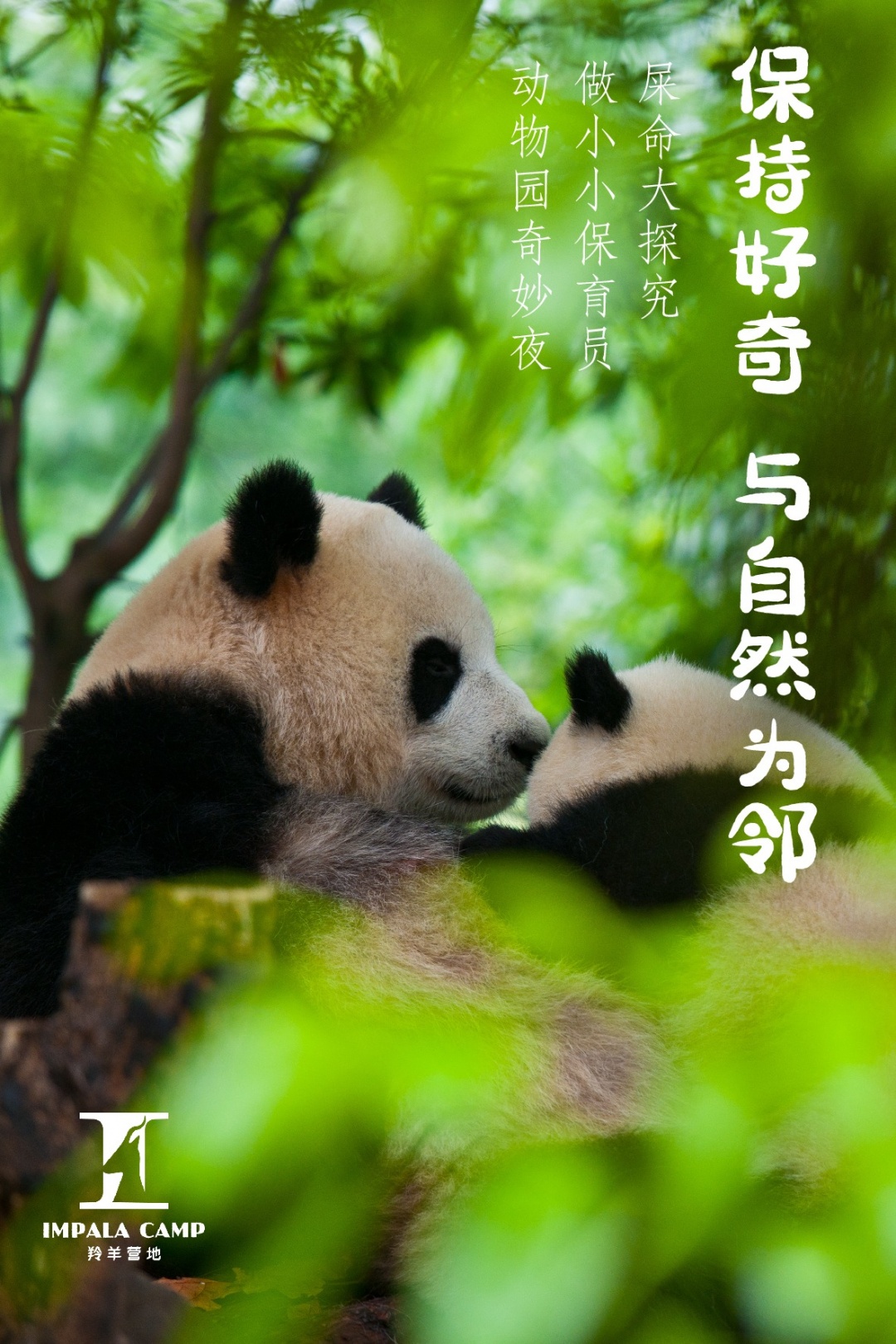 海报1-01.jpg