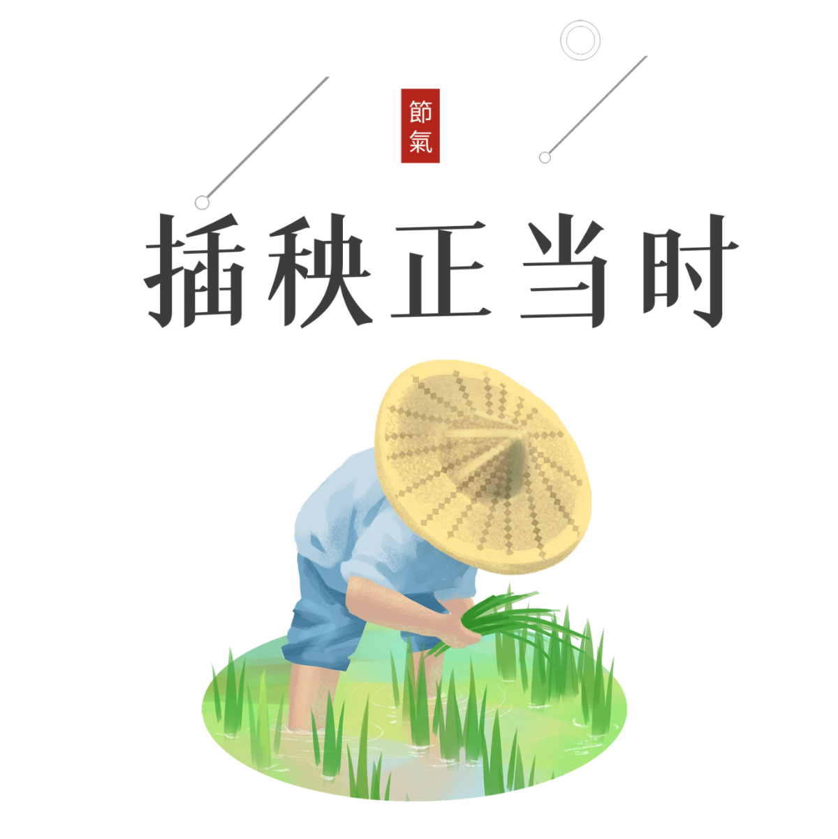 图司机-20240506-39552188.png