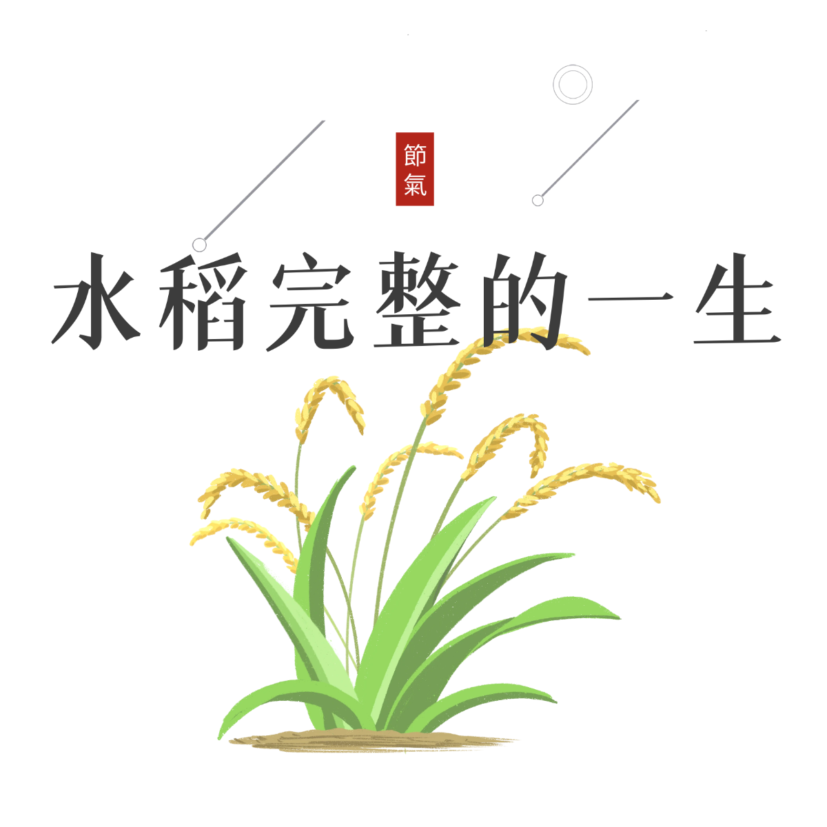 图司机-20240506-39552188.png
