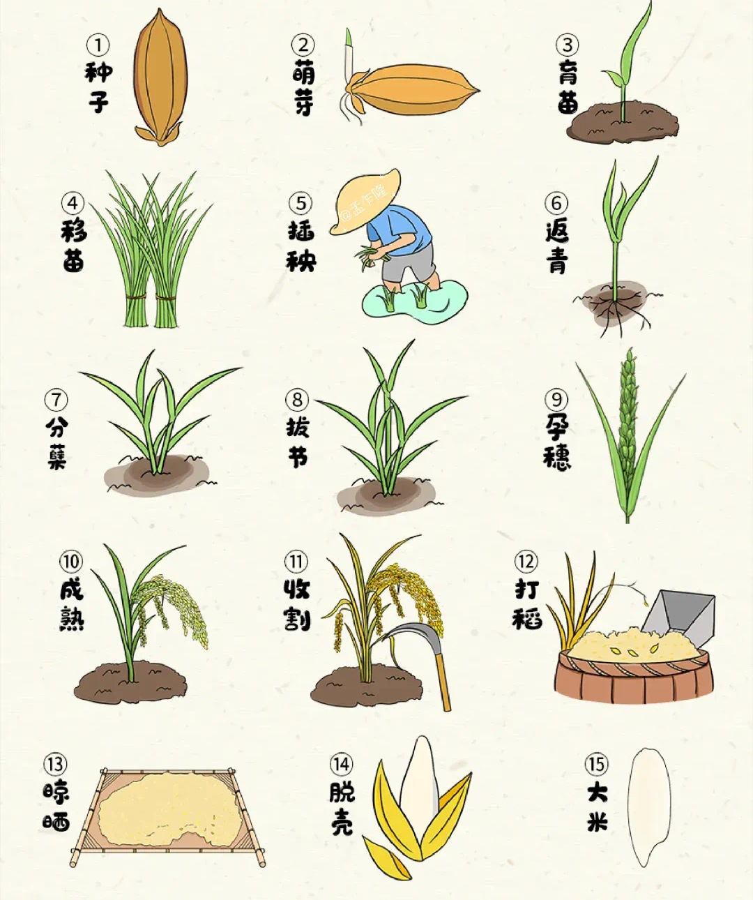 微信图片_20240506143402.png