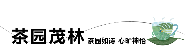 茶园-01.png