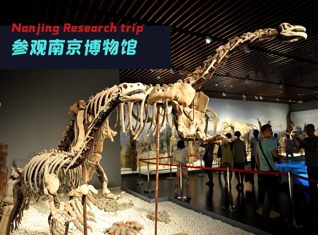 摄图网_501062904_南京博物院自然历史馆（非企业商用）_看图王(1).jpg