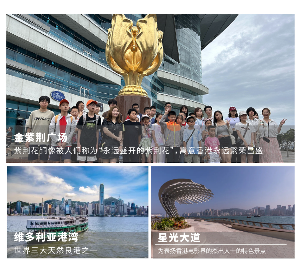图片-01.jpg