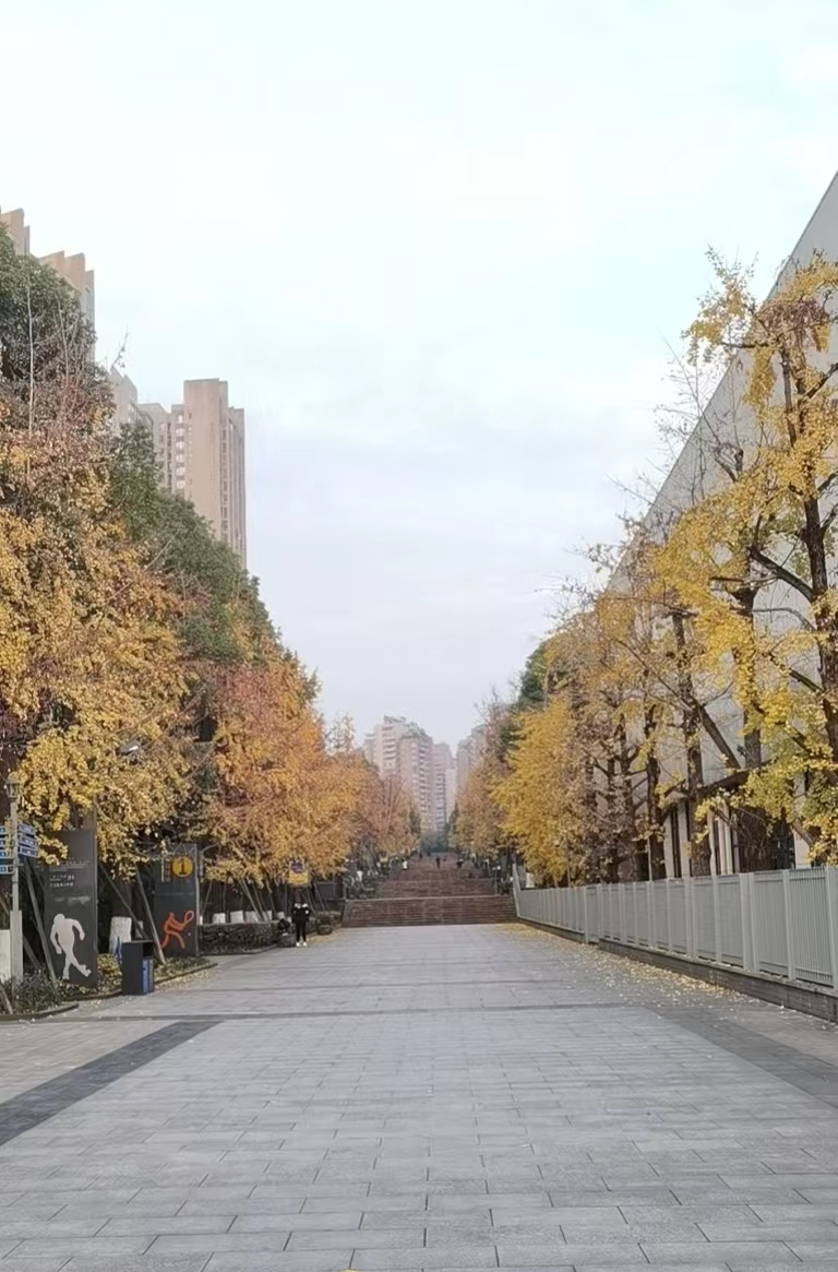 微信图片_20221219134240.jpg
