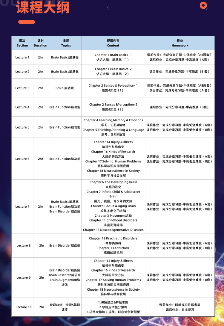 Brainbee Senior 20h 冲刺班.png
