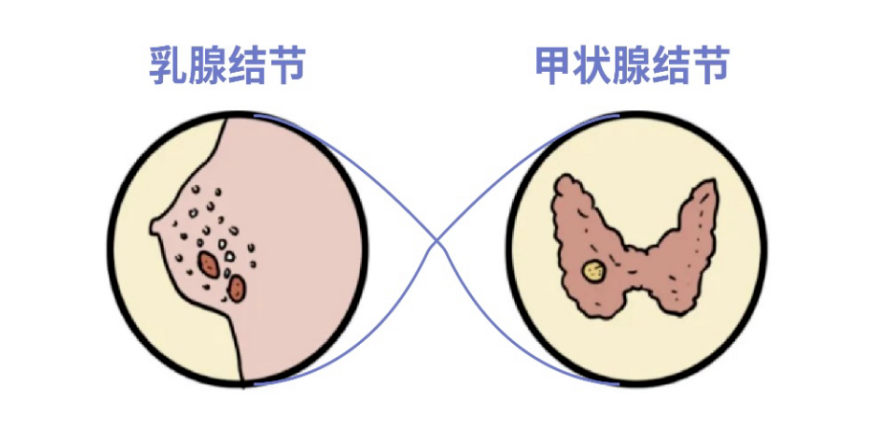 5f061ceecbbb62238a6fd8a7bb9c47af.png